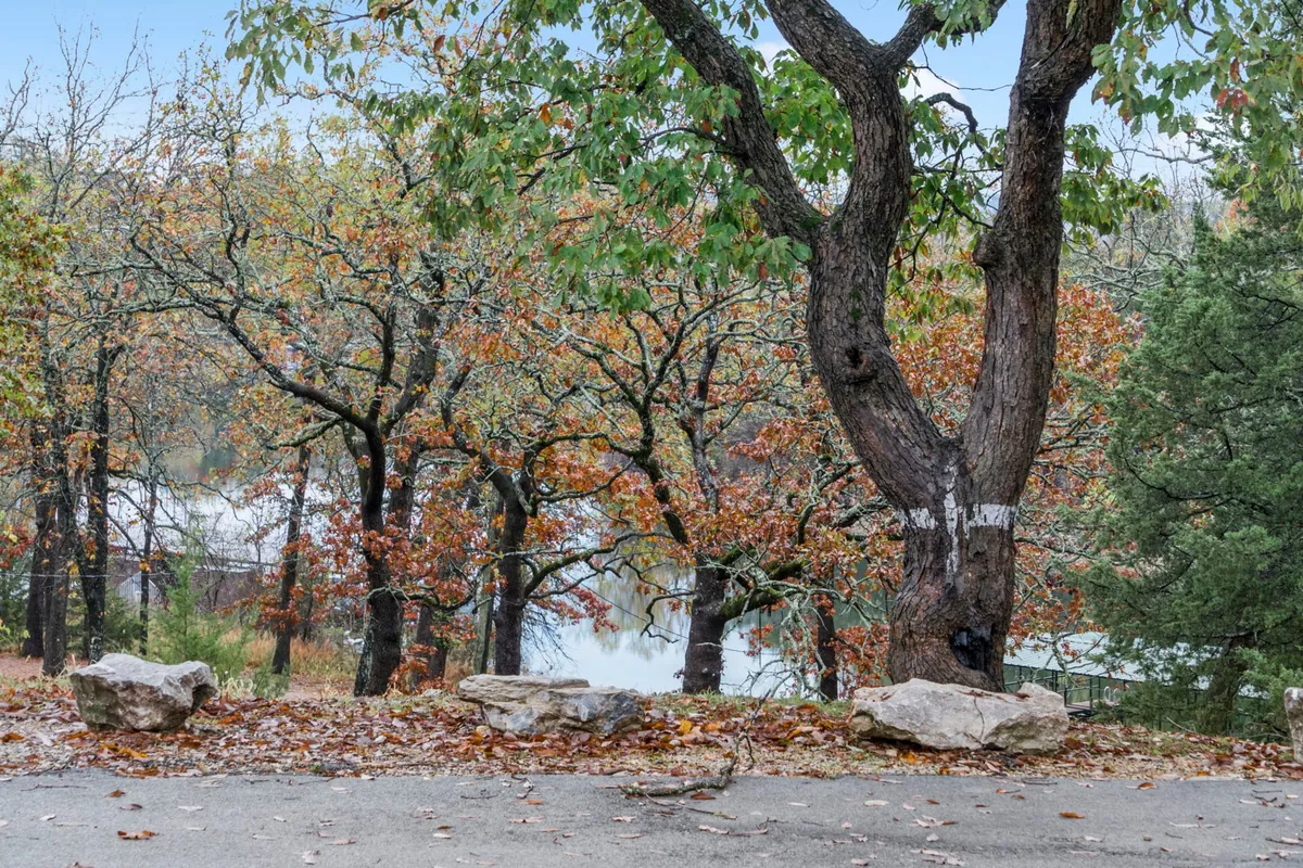 A serene outdoor setting featuring a large, mature tree surrounded by striking rock formations and vibrant autumn foliage. The space is open and inviting, ideal for nature walks or simply relaxing in a peaceful environment.